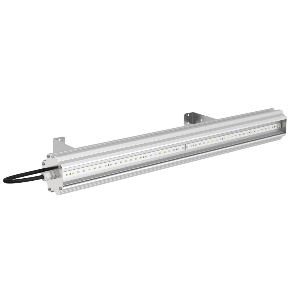 SVT-P-Fort-600-16W-LV-36V AC